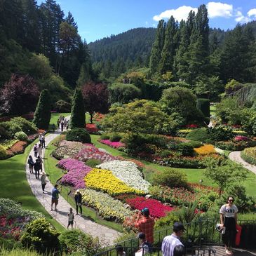 Butchart Gardens in a spring day, colourful flowers and trees, blue sky.