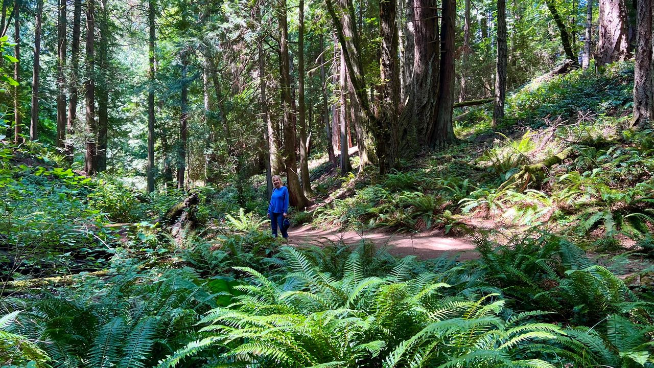 City surrounded by nature City surrounded by nature