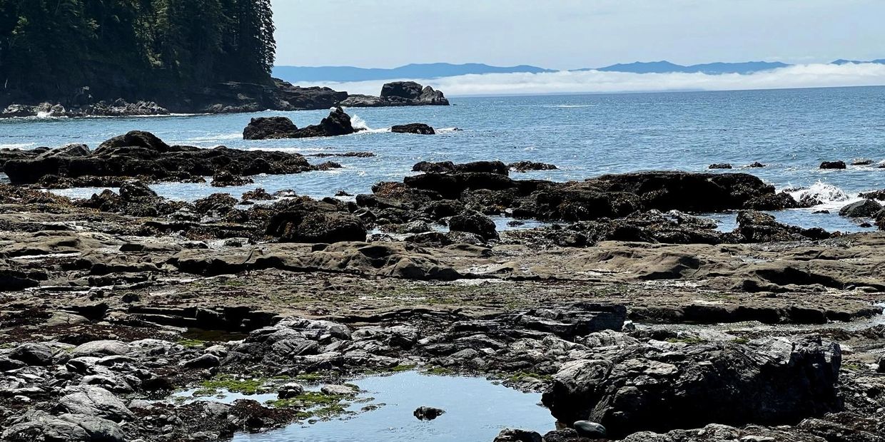 Pacific Ocean beach surrounded by snow capped mountains. EV Tours private tours in Vancouver Island
