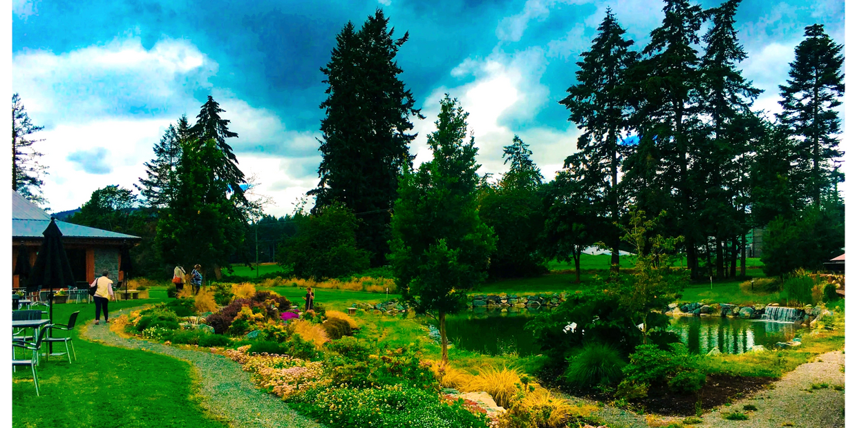 Gorge park with trees and lagoon