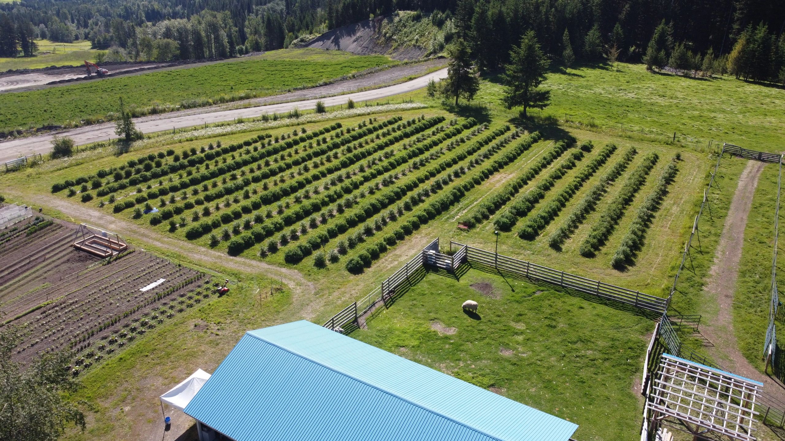 Honeyberry Farm Market Haskap Berries, Produce, Jams