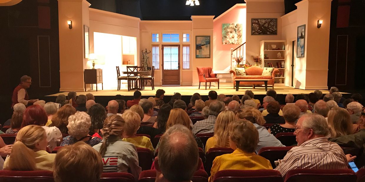 The audience at the theater waiting for the performance to start