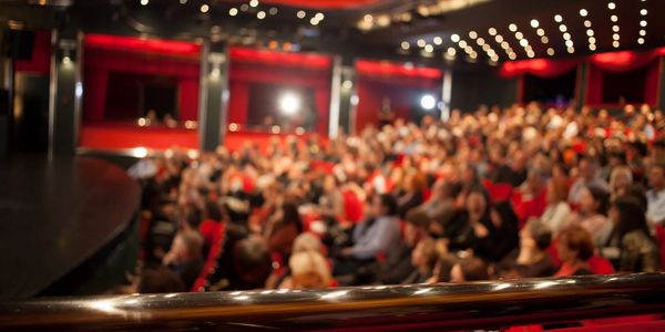 Audience in a theater enjoying the performance