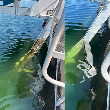 Boat Lift Cleaning 