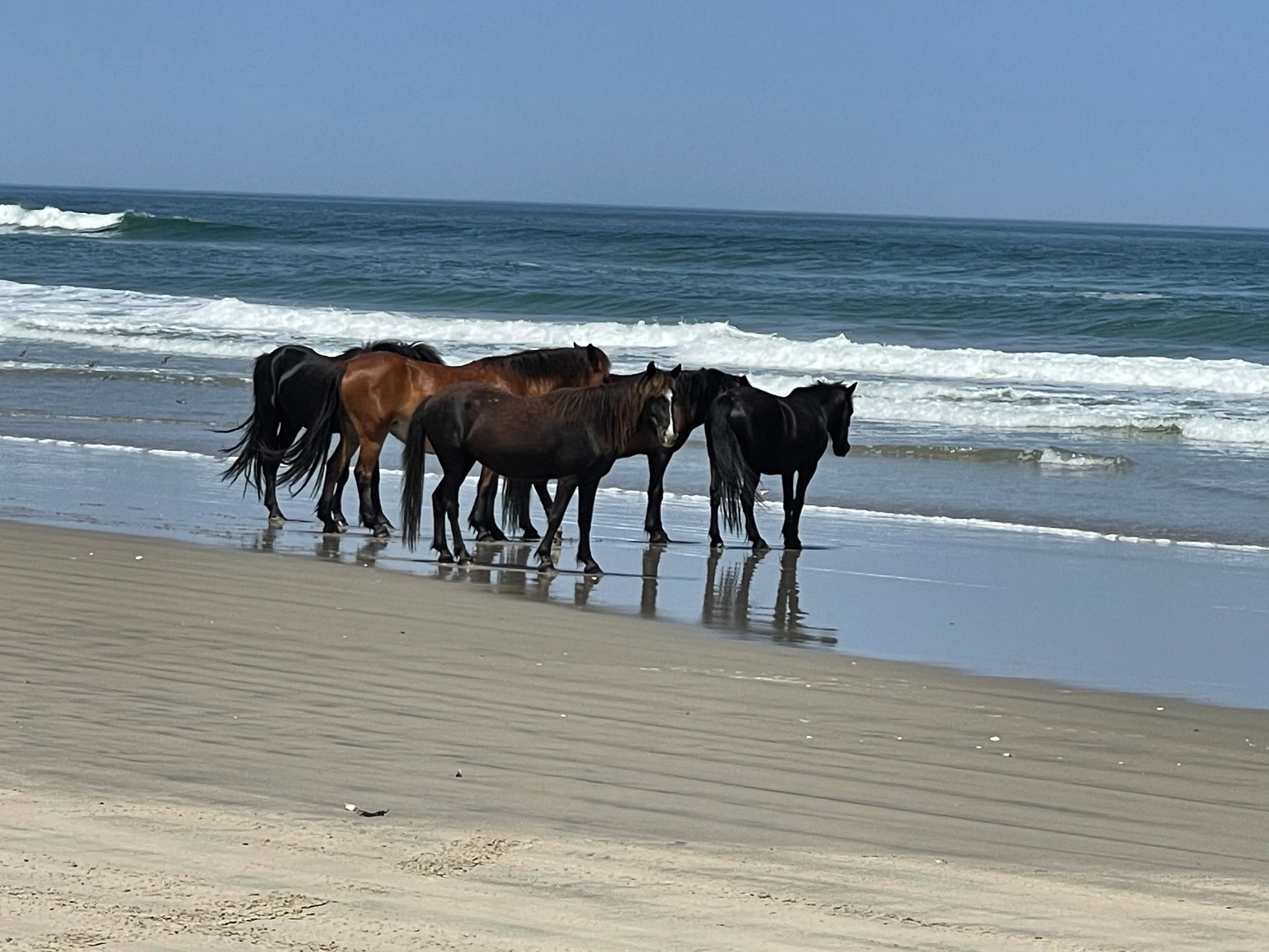 Beach Medical