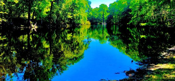 Spring Hopping the Santa Fe River