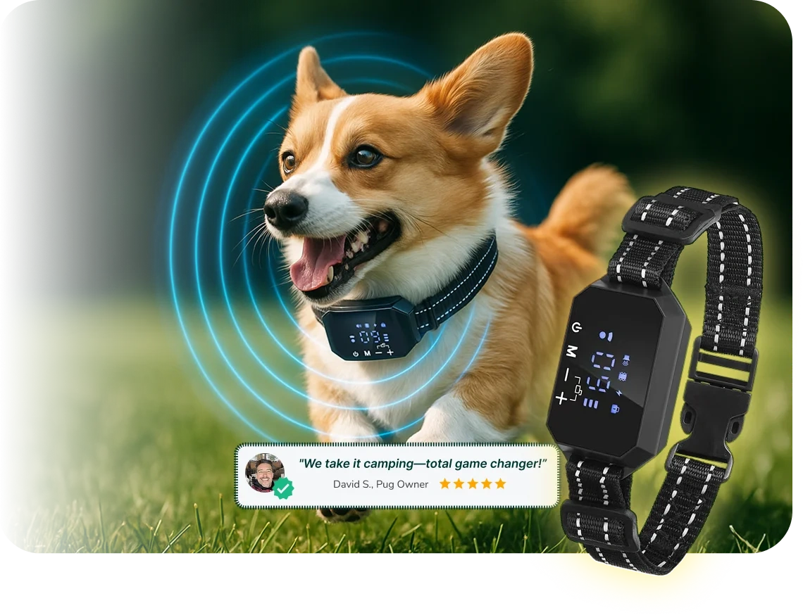 site-xwngxa48n.godaddysites.com