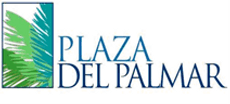 Plaza del Palmar