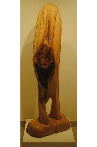 A large, abstract wooden sculpture by Milivoje Bokic, featuring organic forms and a striking