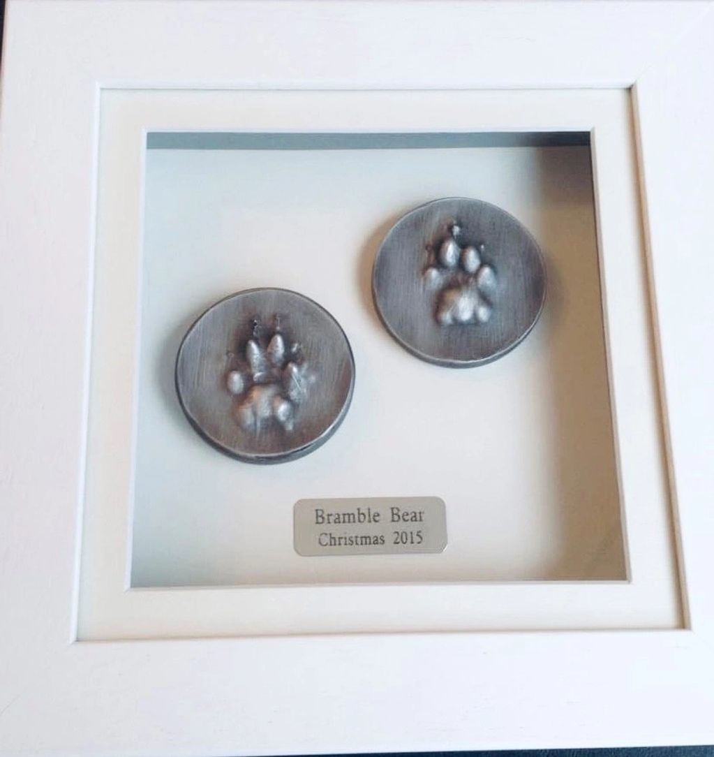 cat paw prints pet paws pet paw impressions pet keepsake pet memorial
paw prints