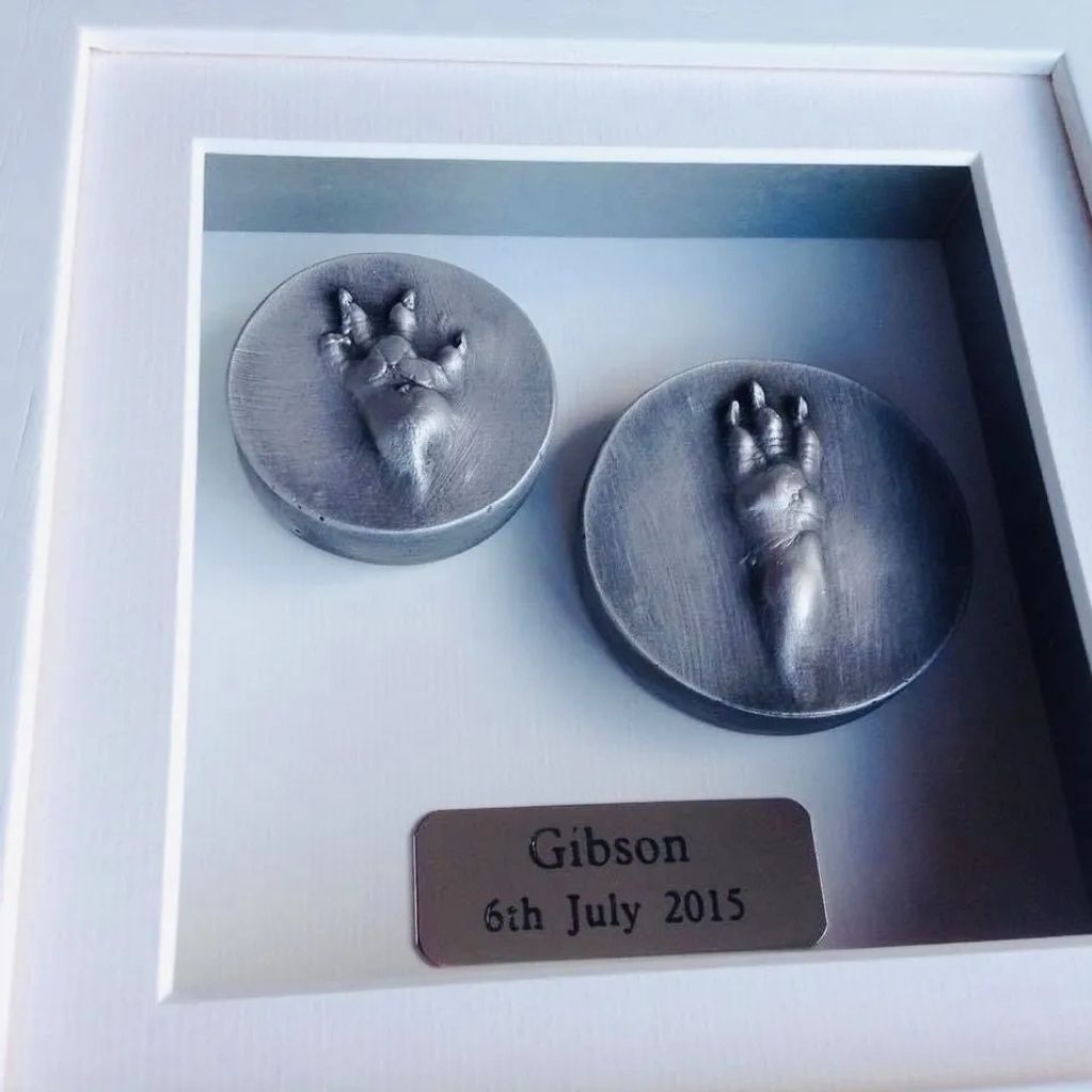 Guinea pig paw prints pet paw impressions small pets pet keepsakes memory memorial clay 