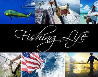 SPORTAILOR LAUNCHES TWO NEW FISHING APPAREL LIFESTYLE BRANDS, fishing  apparel brands 