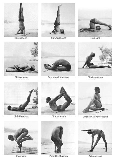 5 Day Beginner Yoga