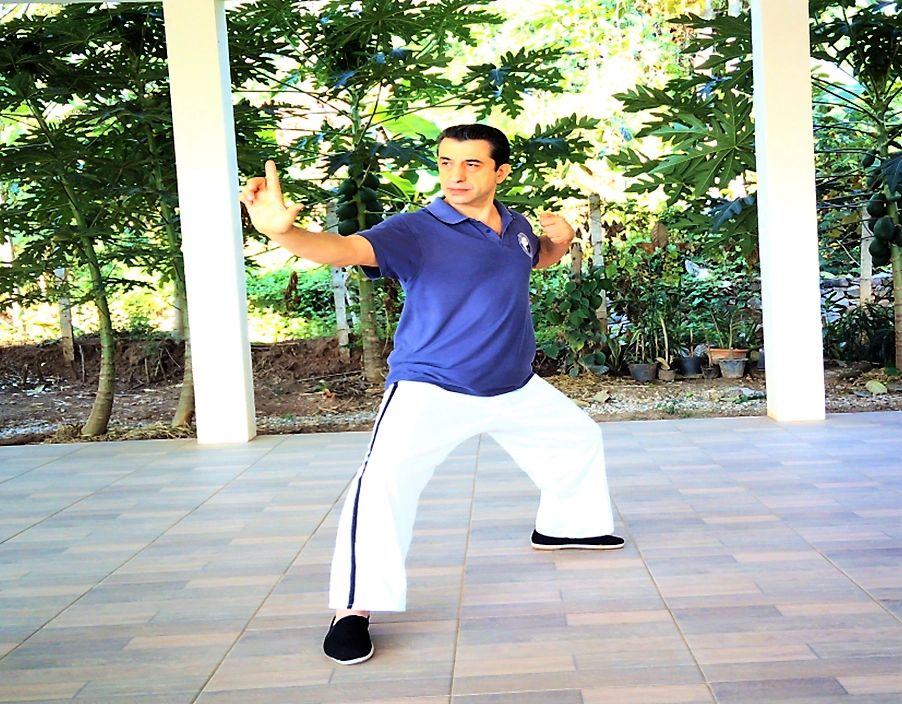 Qigong Healing at Body and Mind Healing Thailand. Learn the power of Qigong in Chiang Mai Thailand