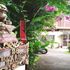 Body and Mind Healing Chiang Mai Thailand