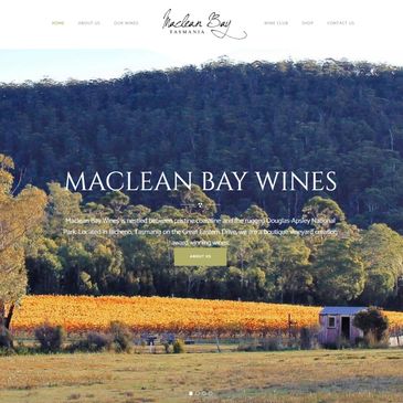 Image of Maclean Bay website homepage 