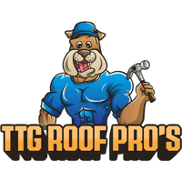 TTG ROOF PRO'S
