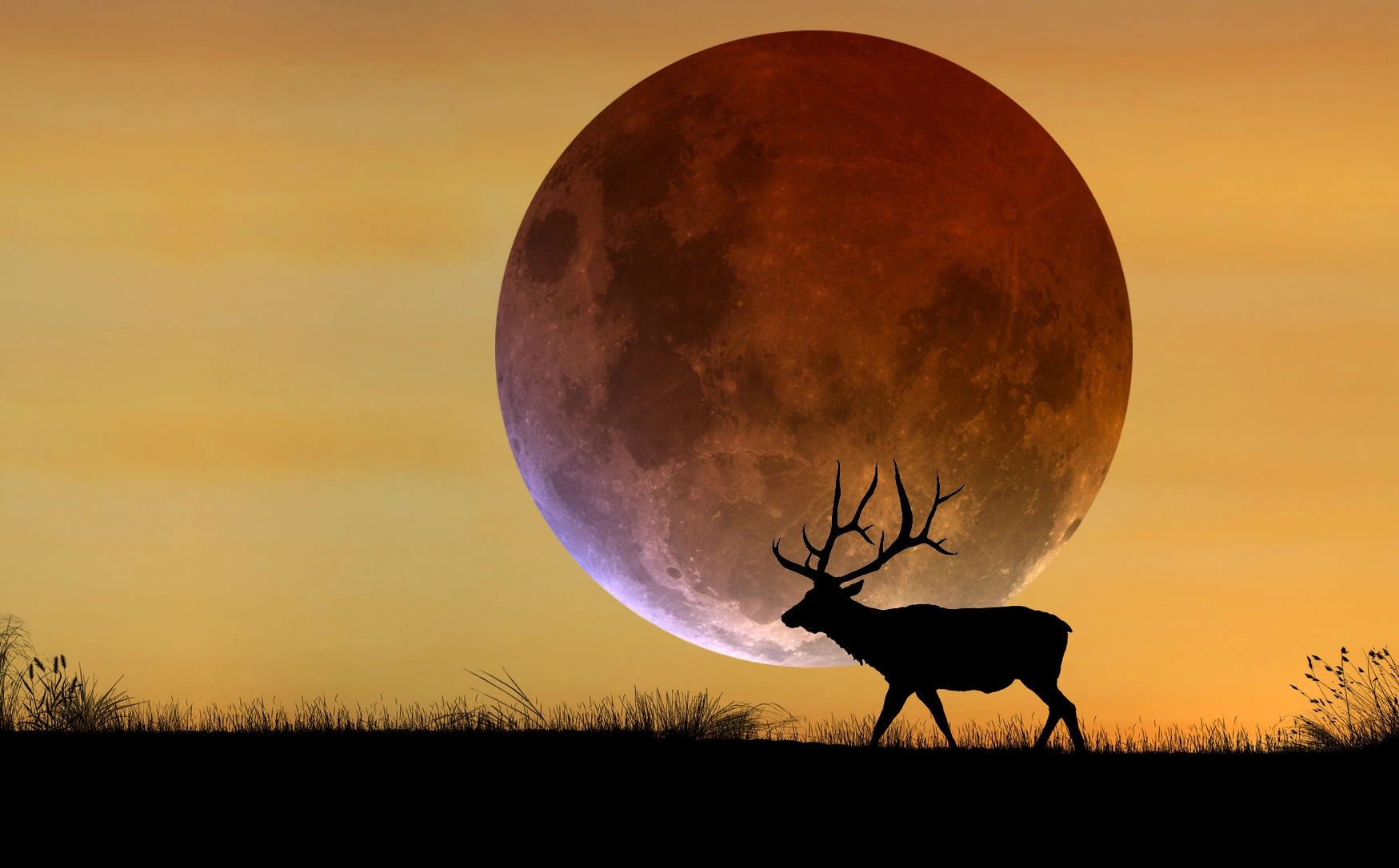 Hunter MOON Targets AR500 Gongs, Metal Targets