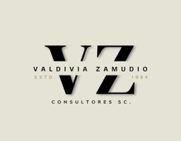 Valdivia Zamudio Consultores S.C
