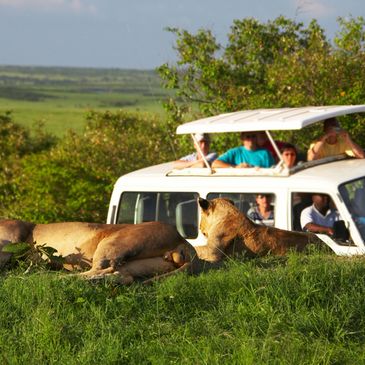 Kenya Safari from Dubai