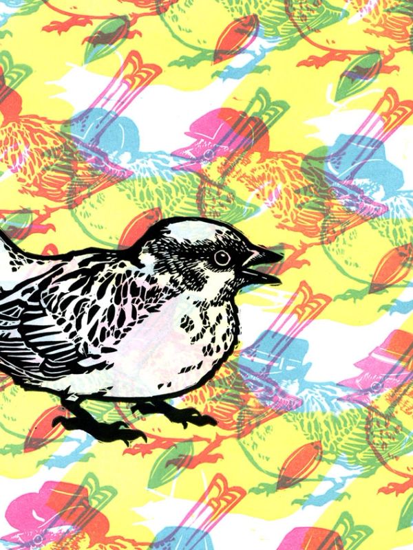 Illustrated bird on a colorful patterned background.
