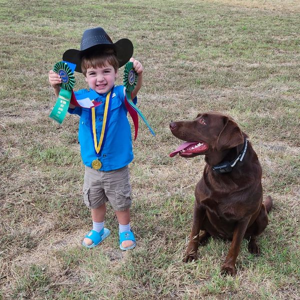 A happy child with ribbons and medal stands next to a sitting chocolate Labrador.