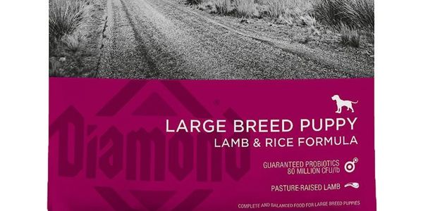 Bag of Diamond pet food for large breed puppies with lamb and rice formula.