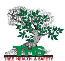 Tree Health and Safety | Tree Health and Safety