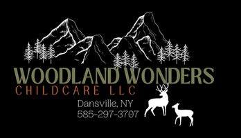 Woodland Wonders Childcare