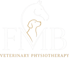 FMB Veterinary Physiotherapy