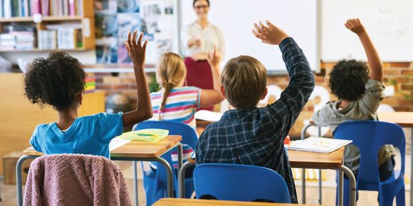 Teachers