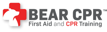 Bear CPR 
