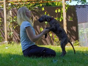 Woman kneeling in grass, holding paws of a standing dog in a garden.