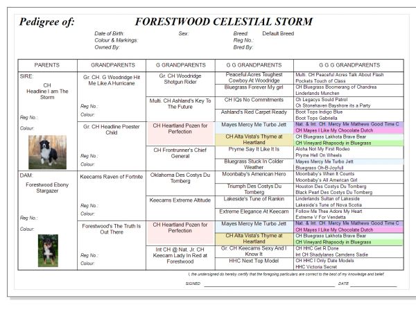 Pedigree chart of Forestwood Celestial Storm showing ancestors and breeding details.
