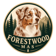 Forestwood 
 Miniature American Shepherds