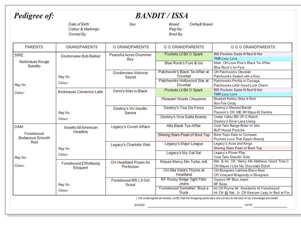 Pedigree chart detailing the lineage of Bandit / Issa with ancestors up to great-great-great grandparents.