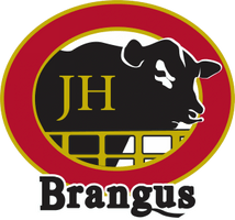 JH BRANGUS CARNICERIA
