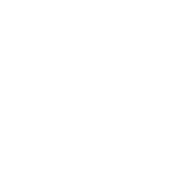 The Kowloons Website