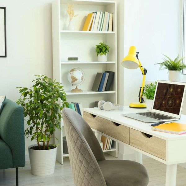 Bright, organized workspace with laptop, desk and plants