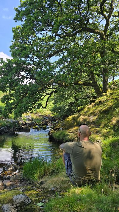 Man sitting by a peaceful riverside under large green trees.