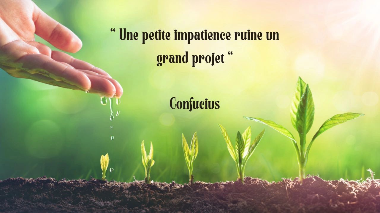 Une petite impatience ruine un grand projet 