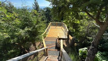 Wooden staircase leading to a scenic lookout surrounded by lush green trees.