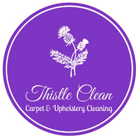 Thistle Clean 