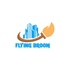 Flying Broom
