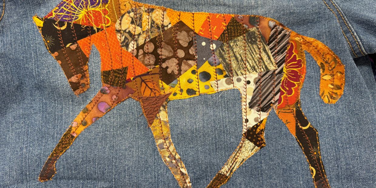 This cute  jean jacket Gail created in just a few hours for our grandkid using Scrappy Applique ®