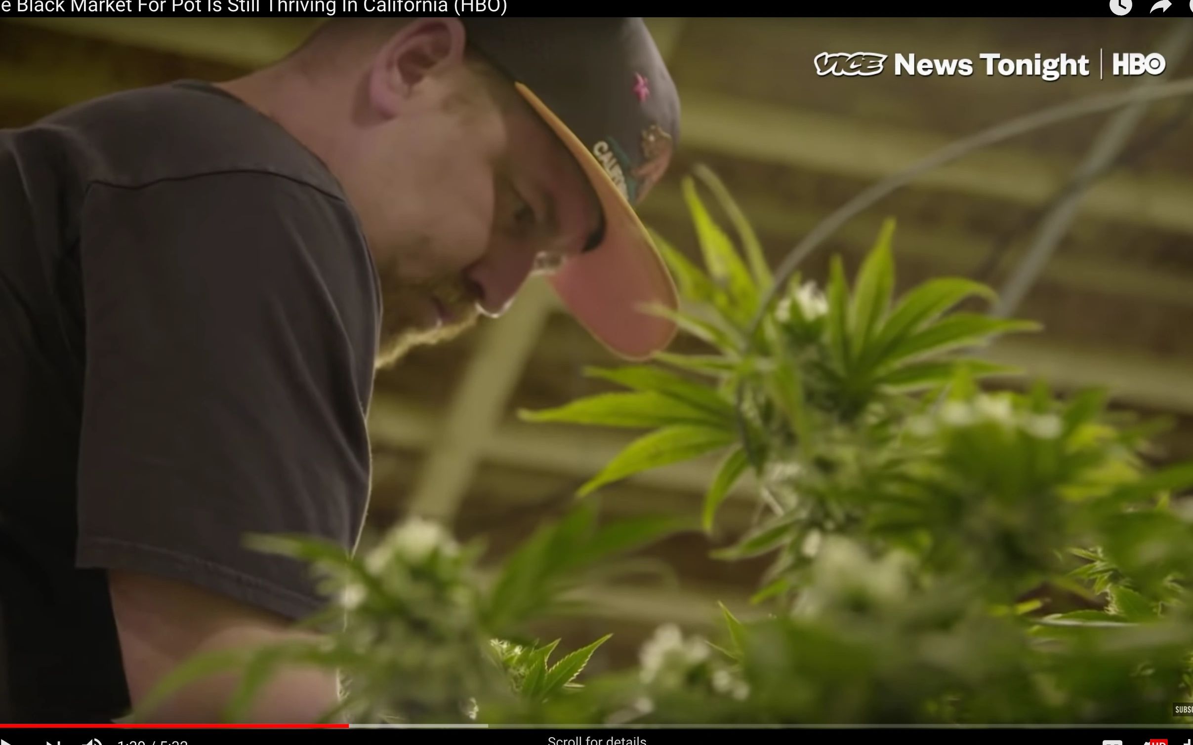 Featured on Vice News Tonight Founder Jason Fleming educates the public about the difficulty in Cali