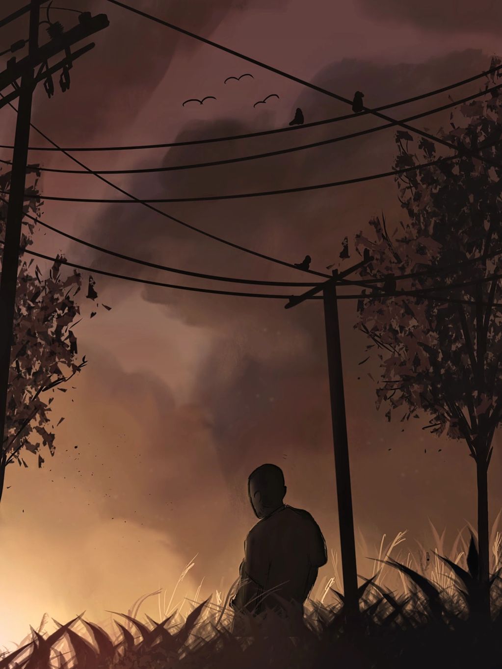 A person sits alone at dusk beneath power lines with birds flying.
