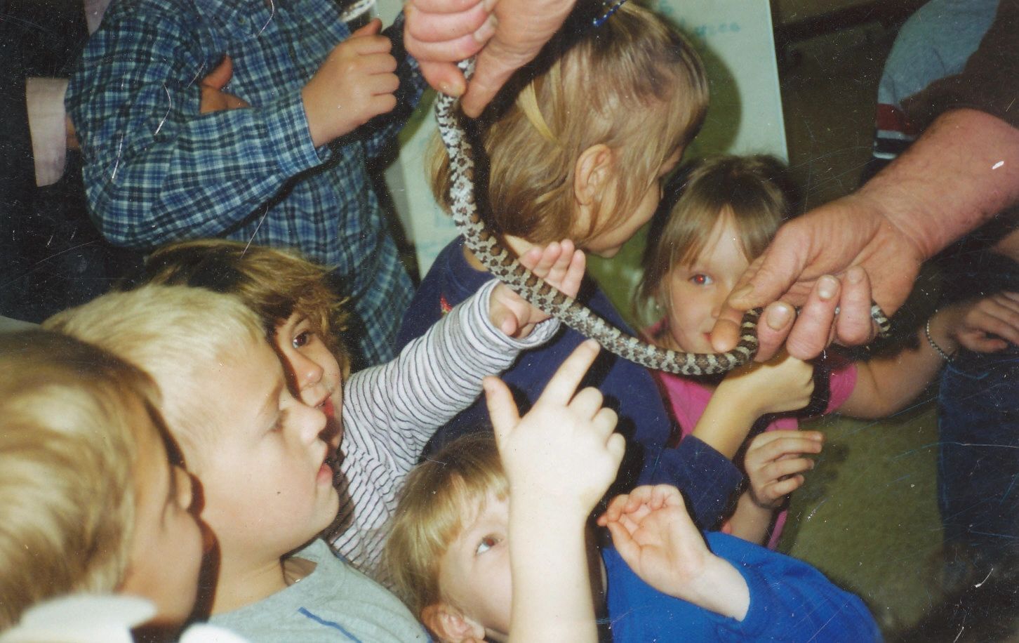 Children curiously touching a small snake held by an adult.