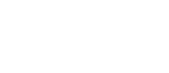 Wildflower Construction
