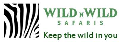 WILD N WILD SAFARIS
